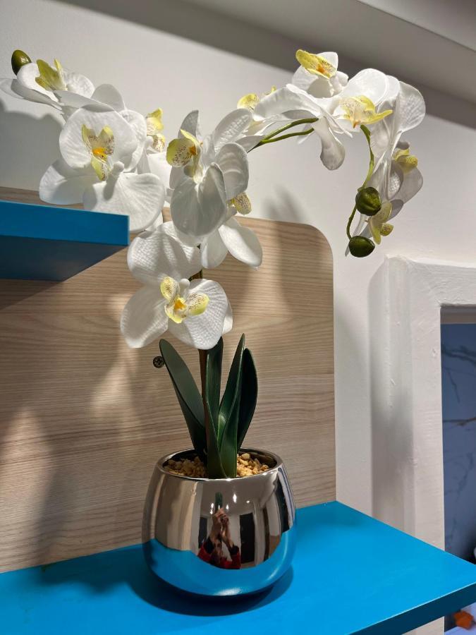 Apartament Centrum Okulickiego ! Stalowa Wola Dış mekan fotoğraf